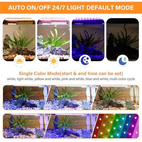 hygger Smart Aquarium Starter Kit, Glass Fish Tank with 24/7 Mode Light, Heater, Water Pump, Filter Media, Auto Feeder,Water Changer, Cleaning Tool, Fishing Net,Timer Automatic Switch (10 Gallon)