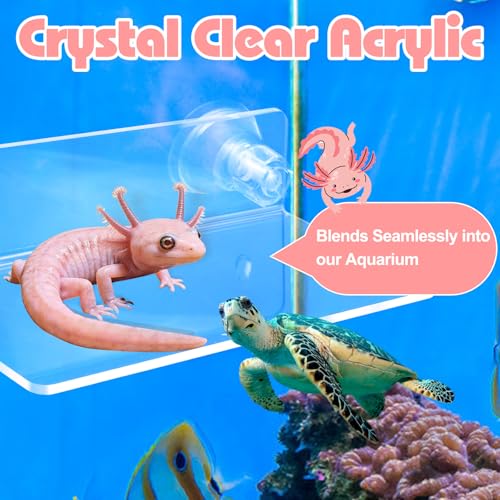 Axolotl Hammock with Feeding Dish,Axolotl Hammock Ledge for Aquarium with Sucker,Axolotls Tank Accessories,Bearded Dragon Tank Accessories