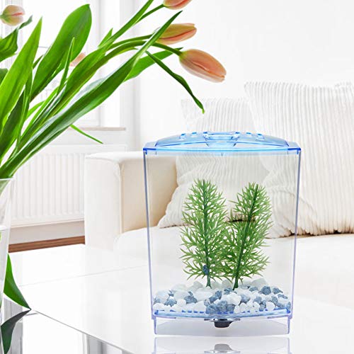GLOGLOW Mini Aquarium Fish Tank, Acrylic Breeding Box for Betta and Guppies, Isolator for Small Fish with Air Circulation and Easy Waste Drainage (Single Grid)