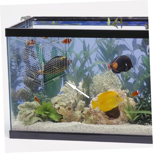 1set Acrylic Aquarium Isolation Box with Cups and Hook Transparent Fish Breeding Container for Betta Shrimp and Fry Easy Installation Compact Design