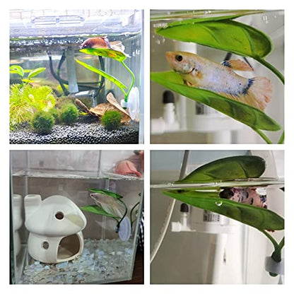 DODO Aqua Betta Fish Leaf Soft Bed Simulating The Natural Habitat for Betta Spawning Grounds Breeding Resting Bed Plastic Suction Cup (1pcs)