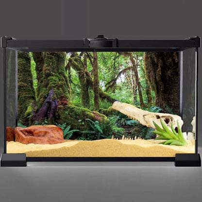 AWERT 30x18 inches Tropical Forest Terrarium Background Green Huge Tree Reptile Habitat Background Rainforest Aquarium Background Durable Polyester Background - size: 30x18in/75x45cm