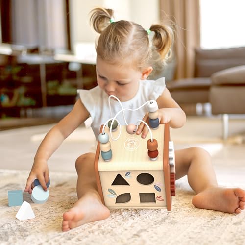 SPEEDY MONKEY Wooden 5-in-1 Activity Cube | Bead Maze & Shape Sorter - color: 5-in-1 Cube