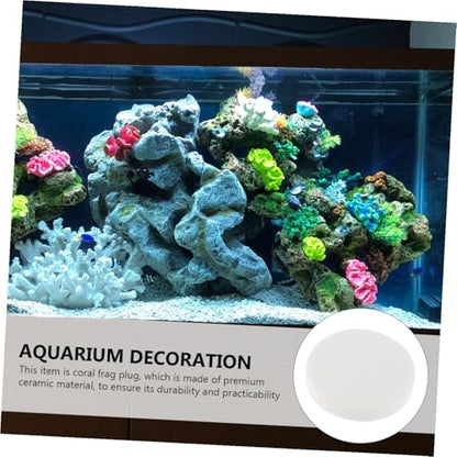10pcs Fish Tank Coral Base Terrarium Cave Sand Stand Coral Breeding Bases Gasket Large Fish Tank Ornaments Gel Pad Coralline Serving Tray Round Conch Siphon Ceramics