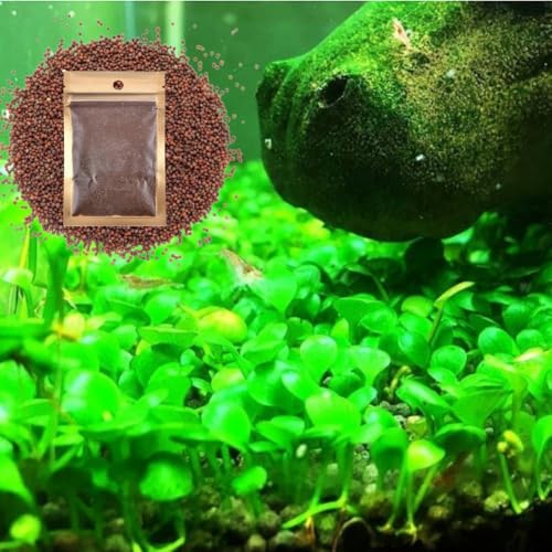 Fresh Water Aquarium Plant Starter Kit, Easy Growing, Small Leaf, Dwarf Carpet Decor for Fish Tank/Terrarium - 1 Pack (Big Leaf)