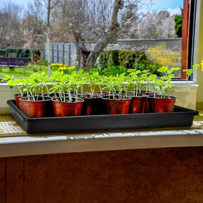 6 Pack Nursery Potting Trays, Plastic Seedling Starter Tray with No Drain Holes, Easy Watering Flat Garden Plant Growing Tray for Indoor Greenhouse Germination, 17.3'' x 11.6'' x 1.3''