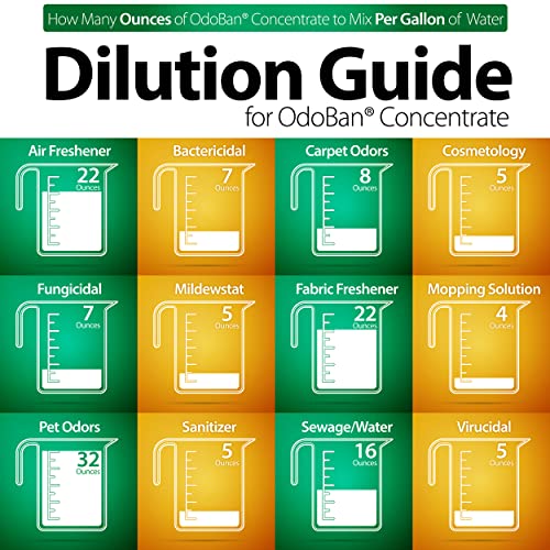 OdoBan Disinfectant Odor Eliminator and All Purpose Cleaner Concentrate, Original Eucalyptus Scent, 1 Gallon - size: 128 Fl Oz (Pack of 1)