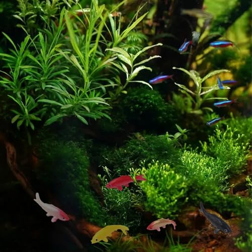 20 Pcs Mini Koi Fish Plastic Animals Goldfish Ornament Supplies for Fish Tank DIY Decorations Gifts