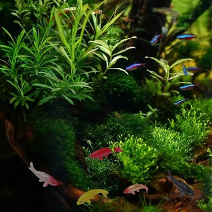 20 Pcs Mini Koi Fish Plastic Animals Goldfish Ornament Supplies for Fish Tank DIY Decorations Gifts
