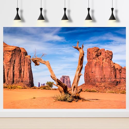3 Pack Reptile Habitat Background Sunset Desert Terrarium Background Fantasy Forest Aquarium Background Gobi Sunshine Cactus Stone Green Fern Lizard Tank Terrarium Background 36x18in