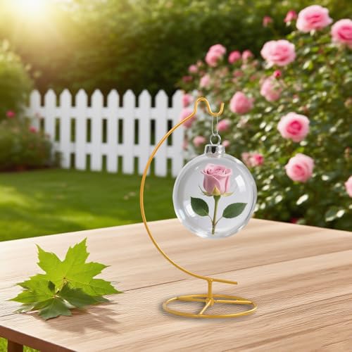Ornament Display Stand,Assembled Display Stand with Hook,Iron Pothook Stand for Hanging Glass Globe, Air Plant Terrarium, Home Wedding Decoration ( Gold )
