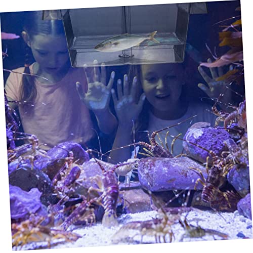 Sosoport 1pc Fish Breeding Box Incubator for Aquarium Isolation Safe Hatching and Acclimation Design for Easy Observation Optimized Water for Juvenile Fish