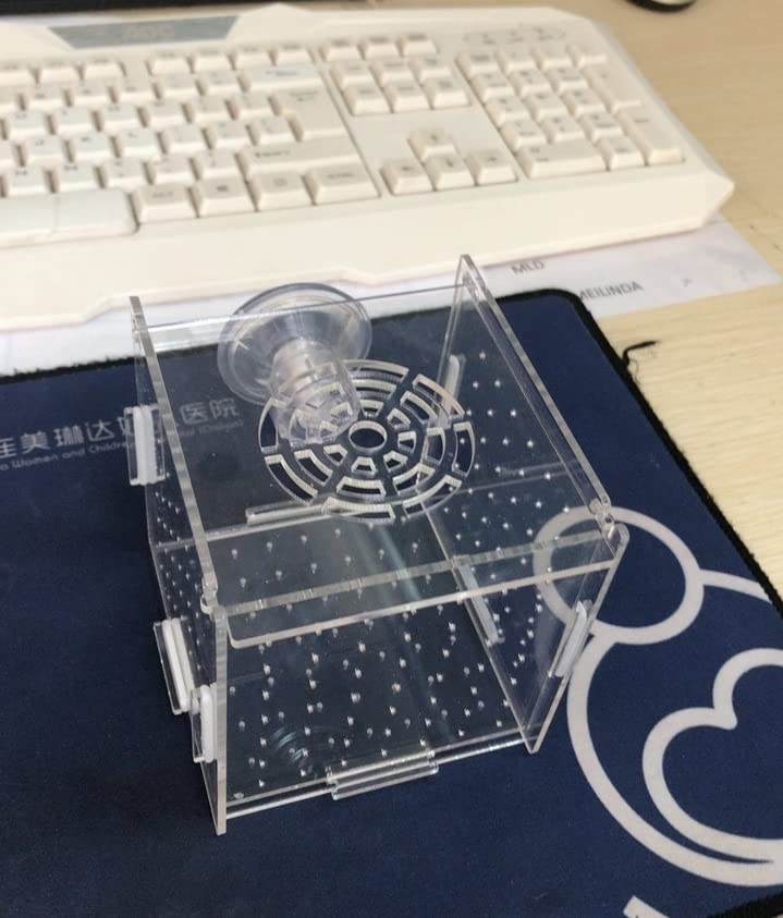 Acrylic Fish breeding Box, Acrylic Fish Isolation Box, Fish Separator for Aquarium, Hatchery Incubator with Suction Cups for Small Baby Fishes Shrimp Clownfish Guppy (3.9 * 3.9 * 3.9inch) - size: 3.9 * 3.9 * 3.9inch