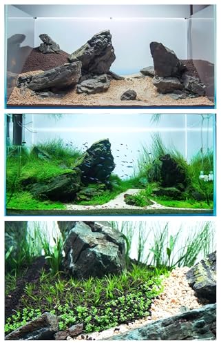 5 Aquarium Plants S.e.e.d Set, not Artifical, Fish Tank Decor Replacement for Resin or Plastic Grass