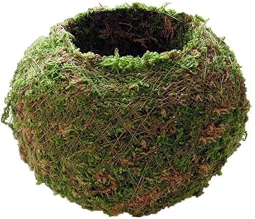 Moss Ball Flower Pot Natural Planter Bonsai Plant Holder Bird Nest for DIY Gardening Home Table Decoration - 15cm