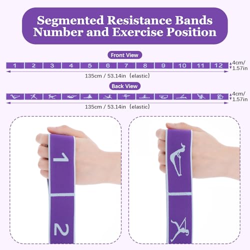 Yoga Straps for Stretching, Elastic Bands for Exercise 12 Gears