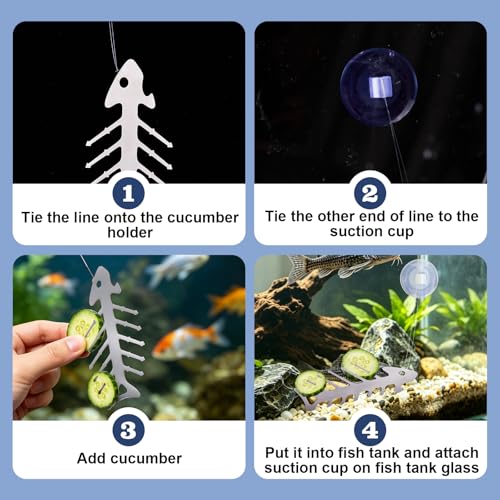 Fish Tank Cucumber Holder for Pleco, Aquarium Vegetable Clip Suction Cup, Stainless Steel Aquarium Vegetable Feeding Tools for Shrimp Loach Pleco Food Feeder in Fresh and Salt Water