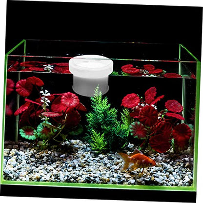 Generic Floating Aquarium Breeder Box Acrylic Fish Tank Isolation Box for Fry Young Fish Multi Functional Breeding for Small Aquariums for Fish