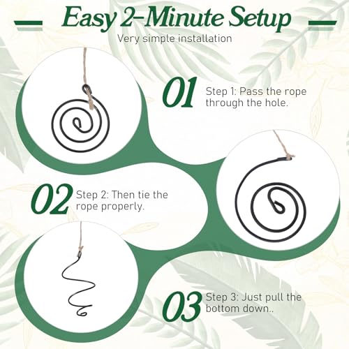6 Pack Air Plants Live Holders Hanging Air Plant Holder Adjustable Rust-Resistant Iron Rings With Jute Ropes Soilless Stand Display Container For Tillandsia Succulents Home Office Decor Black