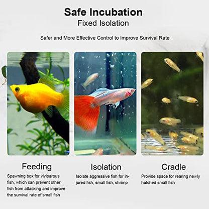 Acrylic Transparent Fish Tank, Breeding Isolation Box Aquarium Hatchery Incubator Holder with Screw Reinforcement, Convenient Use Comes with Isolation Board for Fish Breeding