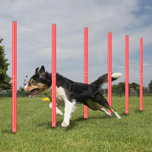 HOTOOLME Agility Training Poles Equipment Soccer Training Equipment Includes 6 Agility Poles,Agility Ladder, 10 Soccer Cones,Jump Rope for Speed Training, Soccer Training, Basketball Athletes & Kids - color: Orange