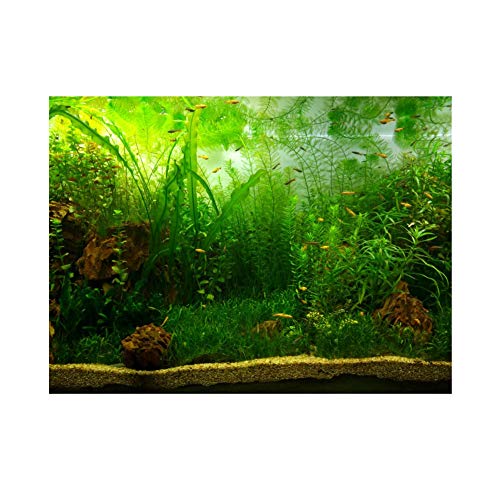 Aquarium Background Fish Decorations Pictures PVC Adhesive Poster Water Grass Backdrop Decoration Paper Cling Decals Sticker(61 * 30cm)