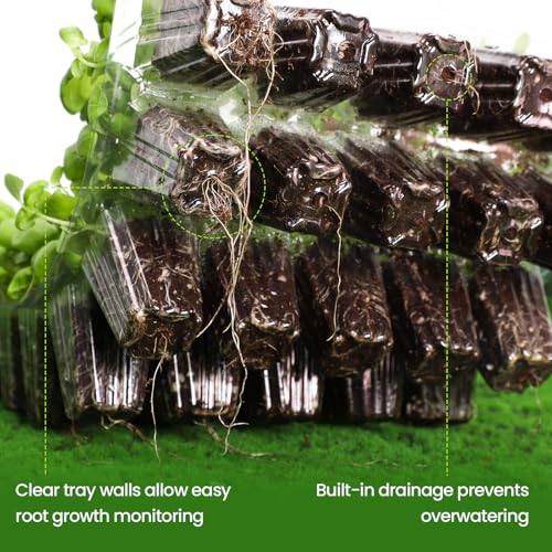 2-Pack Seed Starter Tray with Plant Light, Elevated Seedling Starter Trays Kits with Adjustable Humidity Domes and Clear Cell Tray, 12 Full Spectrum Led Lamp Beads for Plants Indoor-Clear