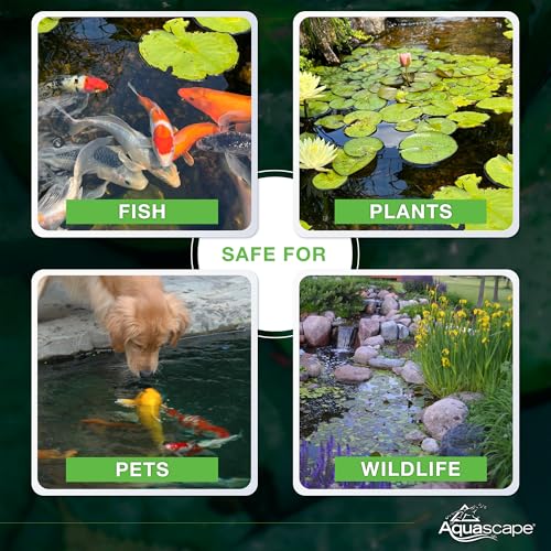 Aquascape Dry Beneficial Bacteria for Pond and Water Features, 4.4-Ounce | 98925,White - size: 0.28 lb