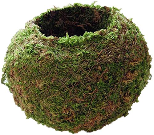 Moss Ball Flower Pot Natural Planter Bonsai Plant Holder Bird Nest for DIY Gardening Home Table Decoration - 18cm