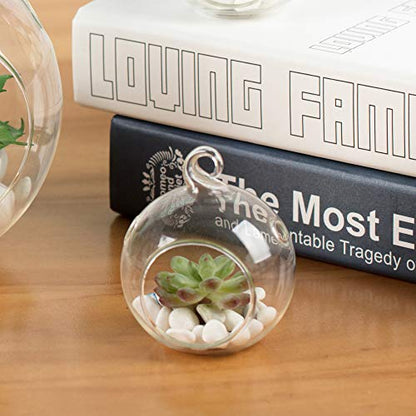 WGV Hanging Terrarium Globe, Width 2.5", Height 3", DIY Air Succulent Planter, Clear Glass Vase Orb with Flat Bottom, Candle Holder for Windowsill Outdoor Garden Decor, 6 Pieces Bulk - size: 2.5" Flat Bottom