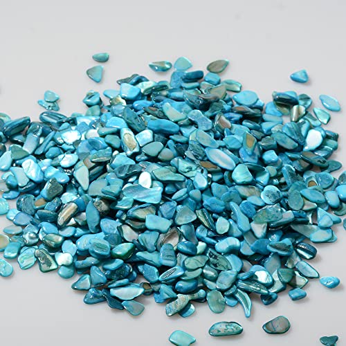 QICQDRAM Crushed Shells for Crafts About 1LB (405g/14.28oz) Small Natural Crushed Shells Bulk for Crafts DIY Beaching Wedding Decoration Vase Fillers (Light Blue)