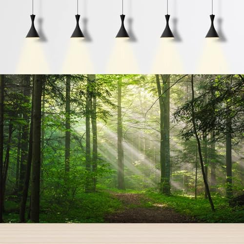Sunrise Forest Aquarium Background Majestic Misty Morning Green Forests Fish Tank Background Scenic Tranquil Foggy Woodland Terrarium Backgrounds Green Meadow Plants Reptile Tank Backgrounds 36x18in