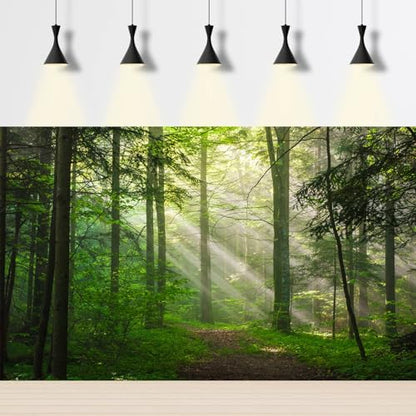 Sunrise Forest Aquarium Background Majestic Misty Morning Green Forests Fish Tank Background Scenic Tranquil Foggy Woodland Terrarium Backgrounds Green Meadow Plants Reptile Tank Backgrounds 36x18in