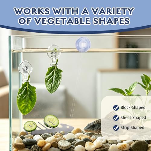 Fish Tank Cucumber Holder for Pleco, Aquarium Vegetable Clip Suction Cup, Stainless Steel Aquarium Vegetable Feeding Tools for Shrimp Loach Pleco Food Feeder in Fresh and Salt Water