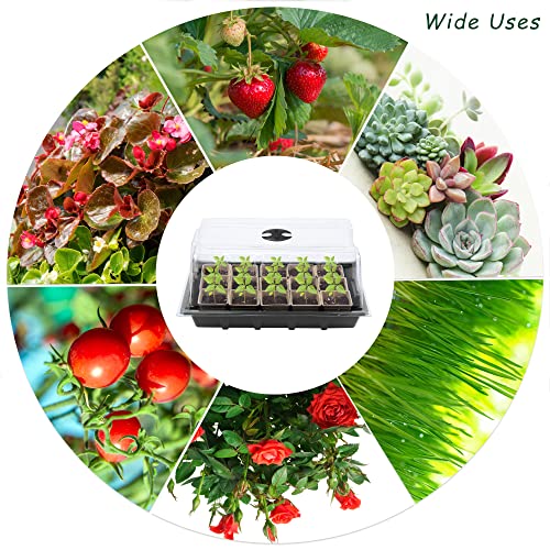 4 Pack Seed Starter Tray Kit, 120 Square Seed Peat Pots for Seedlings with Plants Labels, Planting Tools, Plastic Growing Germination Trays with Lids for Indoor Outdoor Gardening, Black