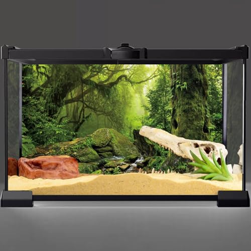 AWERT 48x24 inches Tropical Forest Terrarium Background Stream Green Huge Tree Reptile Habitat Background Foggy Rainforest Aquarium Background Durable Polyester Background - size: 48 x 24 inches