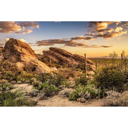 Desert Mountain Reptile Tank Background Sunset Rock Mountain Gobi Aquarium Background Blue Sky Gobi Barren Thorns Mountain Reptile Enclosure Backgrounds Cactus Mountain Fish Tank Backgrounds 48x18in - color: Gobi Orange, size: 48(W)x18(H)in
