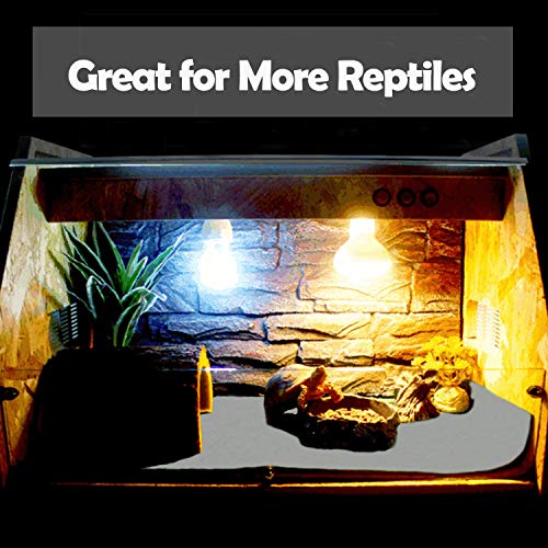 47" x 24" Large Reptile Carpet Terrarium Liner Bedding Reptile Substrate Mat Tank Accessories for Bearded Dragon Snake Lizard Tortoise Leopard Gecko (Grey) - color: Grey