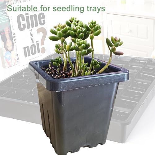 2 Inch Square Nursery Pots, 50 Pack (25 Clear + 25 Black) Seedling Starter Pots, Plastic Plant Pots with Drainage Holes, for Seed Germination, Root View, and Light Blocking - color: Clear + Black (50pcs)