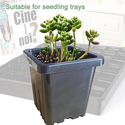 2 Inch Square Nursery Pots, 50 Pack (25 Clear + 25 Black) Seedling Starter Pots, Plastic Plant Pots with Drainage Holes, for Seed Germination, Root View, and Light Blocking - color: Clear + Black (50pcs)