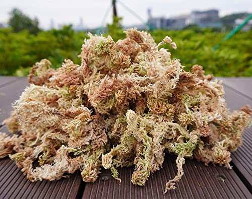 Sphagnum Moss 1.2 lb for DIY Moss Pole, Great Potting Mix for Indoor Plants, Help with Maintain Humidity - size: 1.2 lb
