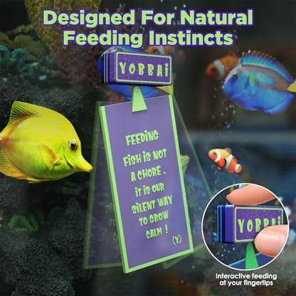 Magnetic Seaweed Feeder, Swinging Motion Nori Feeder, Seaweed Clip for Tangs Angels Freshwater and Shrimp Tanks (Green & Purple) - color: GREEN & PURPLE