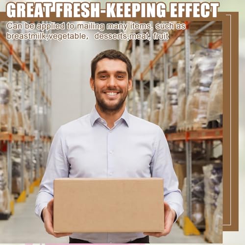2 Pcs 17" X 10" X 8-1/4" Insulated Cold Shipping Boxes for Frozen Food with Aluminum Foil Liner Insulated Bag Thermal Cooler Cold Pack Boxes for Hot or Fresh Food Mailing Packing