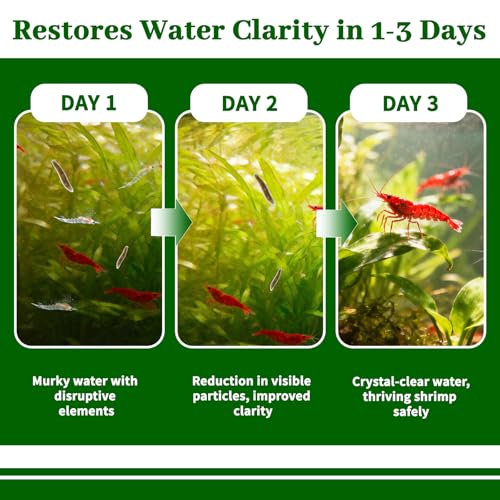 No Planaria & Hydra Support, Aquarium Balance Liquid for Shrimp & Fish, Helps Maintain Tank Stability and Reduce Flatworm-Related Issues, Shrimp-Safe Formula, 60ml