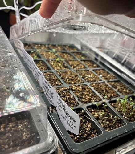 RooTrimmer 10-Pack XL Seed Starter Tray with Dome – 24 Large 2" Cells per Seedling Starter Trays (Total 240 Cells), Seed Growing Tray with Humidity Lids for Greenhouse Home Plant Propagation - color: Black and Clear, size: 10 Sets