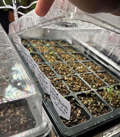 RooTrimmer 10-Pack XL Seed Starter Tray with Dome – 24 Large 2" Cells per Seedling Starter Trays (Total 240 Cells), Seed Growing Tray with Humidity Lids for Greenhouse Home Plant Propagation - color: Black and Clear, size: 10 Sets