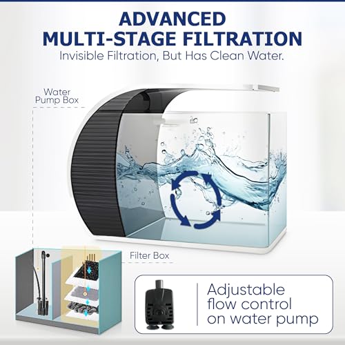 5 Gallon Fish Tank - Arc-Shaped Glass Tank w/LED Lights - Fish Tank Kit w/Filter, Water Pump, Bag of Filter Media & More - Beautiful Aquarium Set for Office & Home - Easy Assembly Starter Kit