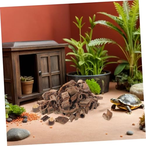 Natural Pecan Wood Bark Sheets 100g for DIY Terrarium Background, Reptile Habitat Decor, Fish Tank and Snake Enclosure Backdrop