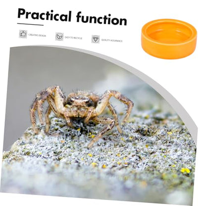 Garneck Crawler Crawling Pet Feeding Bowl Orange Shrimp Food Basin Design for Fish and Reptiles Non-Escape Feeder Dish