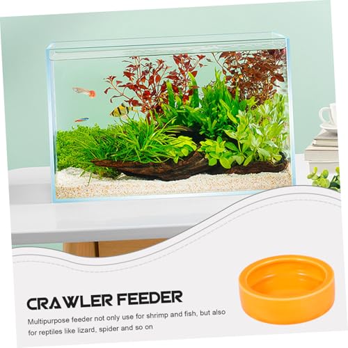 Escape Ceramic PET Feeding Bowl for Reptiles and Small Animals Round Shrimp Food Basin Water Dish Non-Tipping Design for Lizards Crabs and Other Crawlers (Orange)